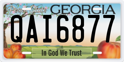 GA license plate QAI6877