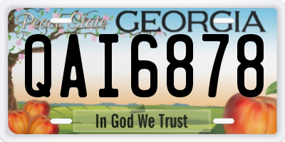 GA license plate QAI6878