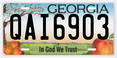 GA license plate QAI6903