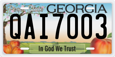 GA license plate QAI7003