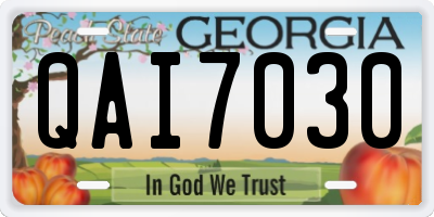 GA license plate QAI7030