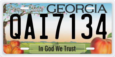 GA license plate QAI7134