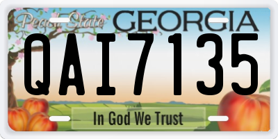 GA license plate QAI7135