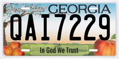 GA license plate QAI7229