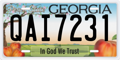 GA license plate QAI7231