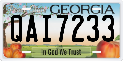 GA license plate QAI7233