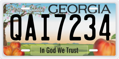 GA license plate QAI7234