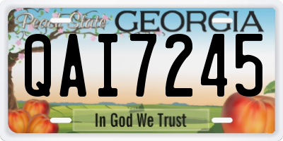 GA license plate QAI7245