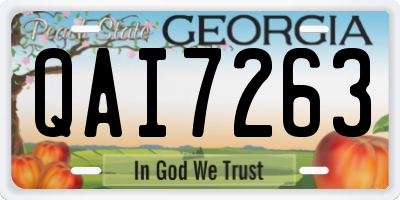 GA license plate QAI7263