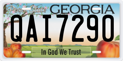GA license plate QAI7290