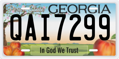 GA license plate QAI7299