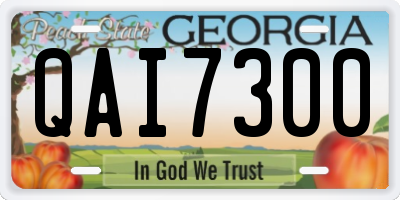 GA license plate QAI7300