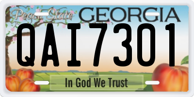 GA license plate QAI7301