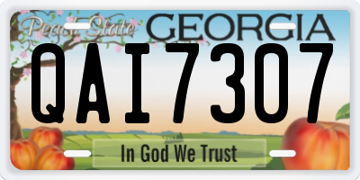 GA license plate QAI7307