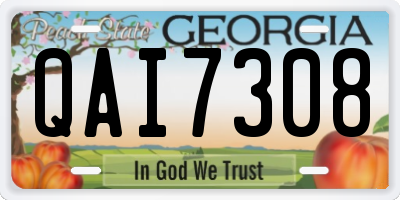 GA license plate QAI7308