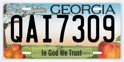 GA license plate QAI7309