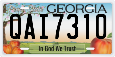 GA license plate QAI7310