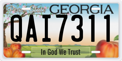 GA license plate QAI7311