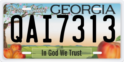 GA license plate QAI7313
