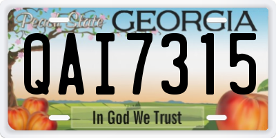 GA license plate QAI7315