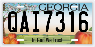 GA license plate QAI7316