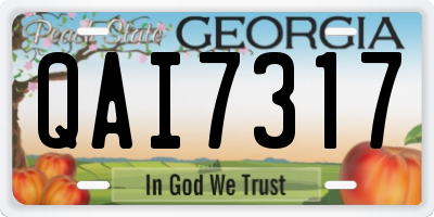 GA license plate QAI7317