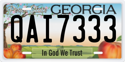 GA license plate QAI7333