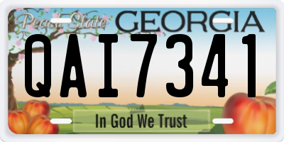 GA license plate QAI7341