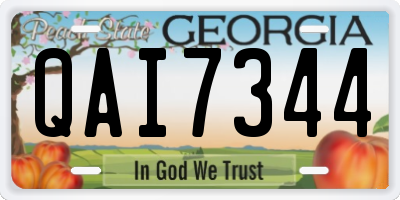 GA license plate QAI7344