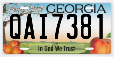 GA license plate QAI7381