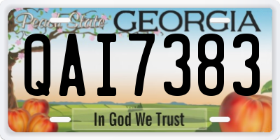 GA license plate QAI7383
