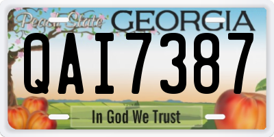 GA license plate QAI7387