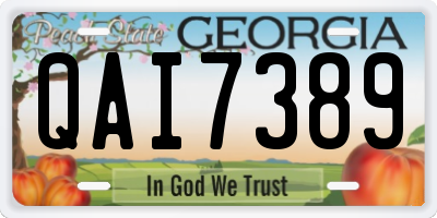 GA license plate QAI7389
