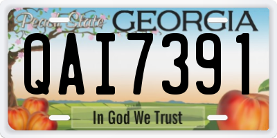 GA license plate QAI7391