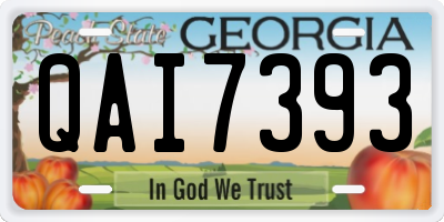 GA license plate QAI7393