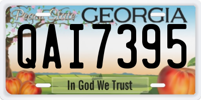 GA license plate QAI7395