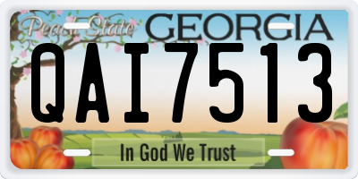 GA license plate QAI7513