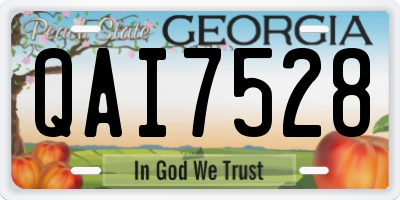 GA license plate QAI7528