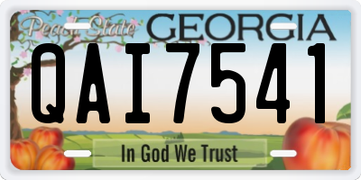 GA license plate QAI7541