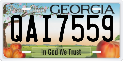 GA license plate QAI7559