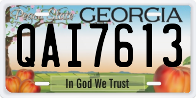 GA license plate QAI7613