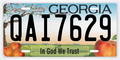 GA license plate QAI7629