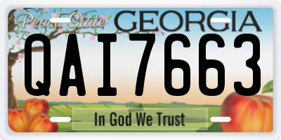 GA license plate QAI7663