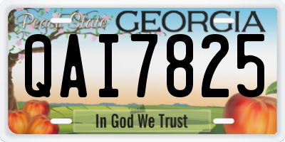GA license plate QAI7825