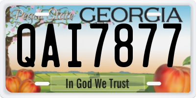 GA license plate QAI7877