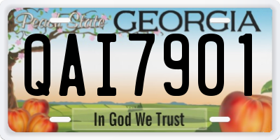 GA license plate QAI7901