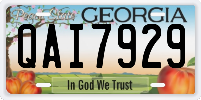 GA license plate QAI7929
