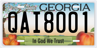 GA license plate QAI8001