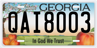 GA license plate QAI8003