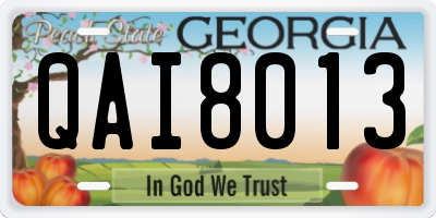 GA license plate QAI8013